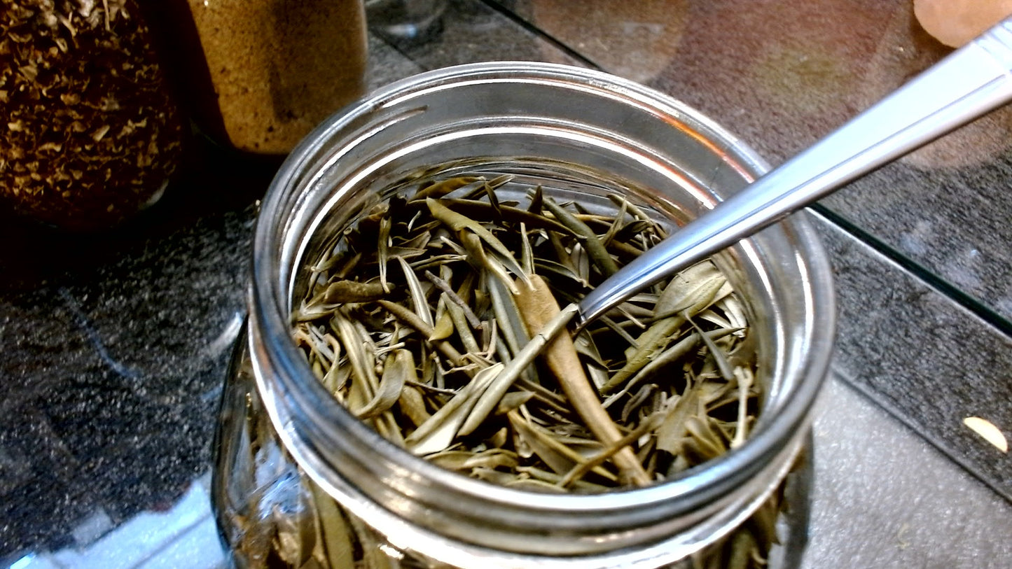Olive Leaf