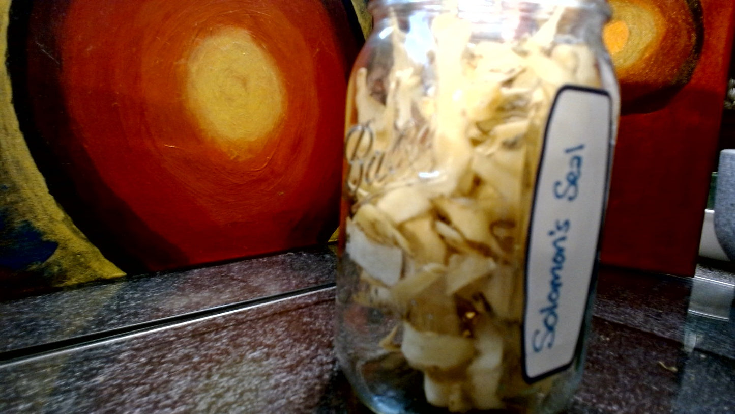 Solomon's Seal: Polygonatum Biflorum