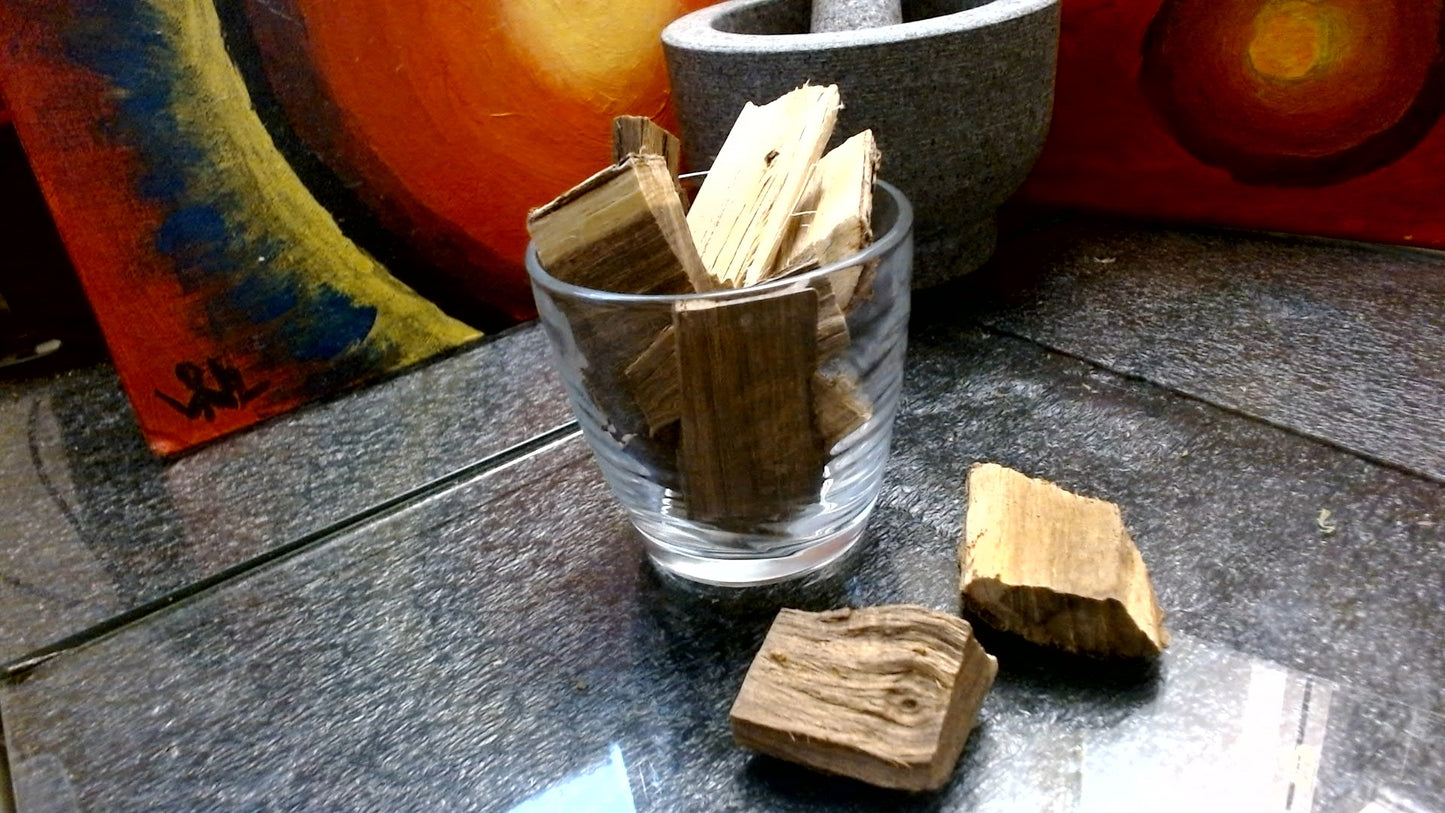 Palo Azul Cyclolepis Genistoides- "kidney wood" or "blue stick Tea" (1 ounce)