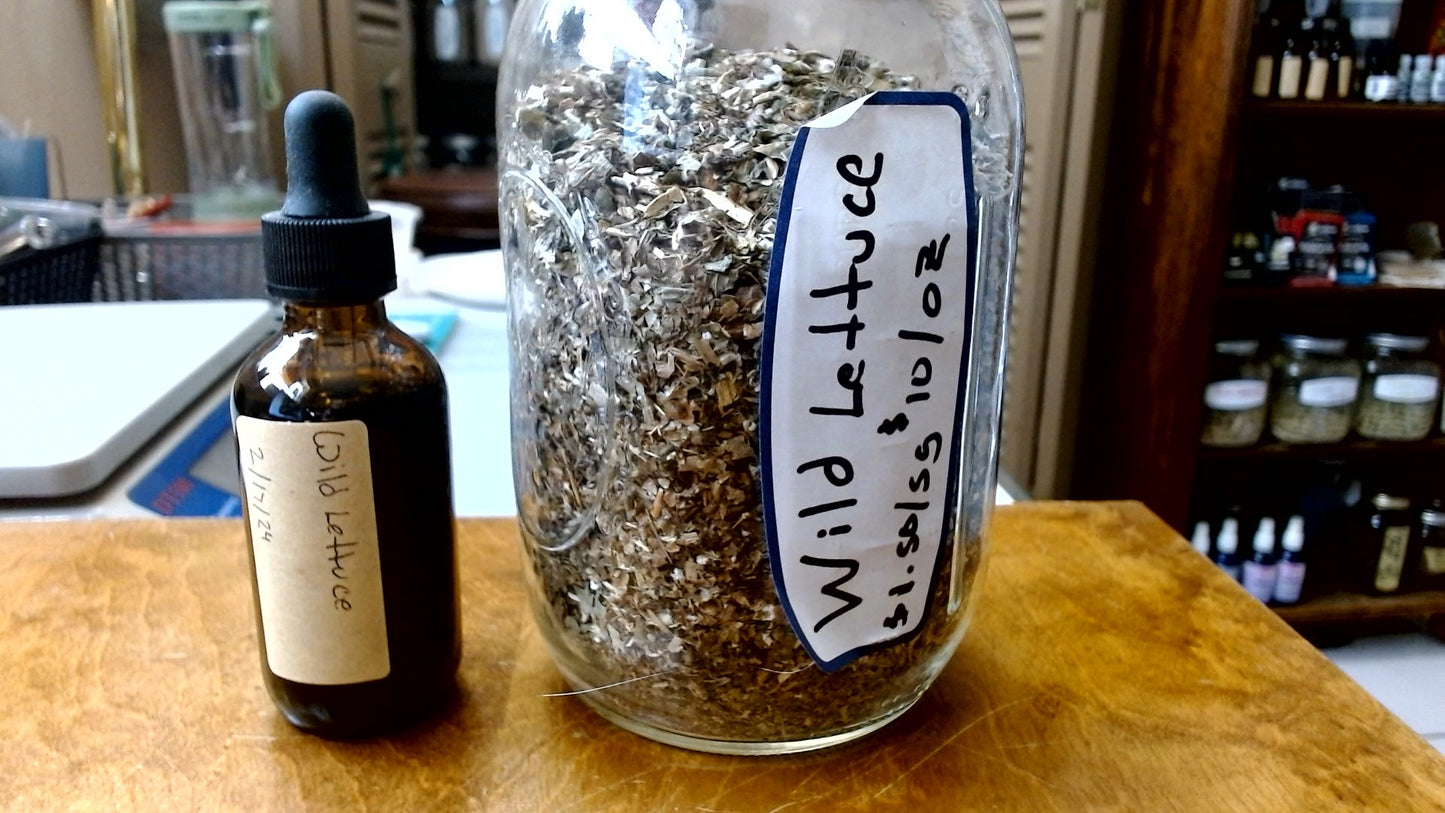 Wild Lettuce Tincture
