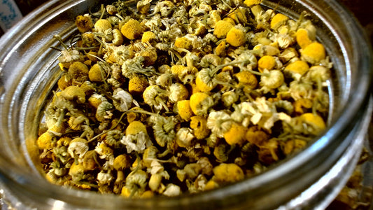 Chamomile Flower (tea and herb)