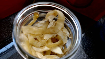 Solomon's Seal:  Polygonatum Biflorum