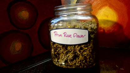 Prim Rose Flower